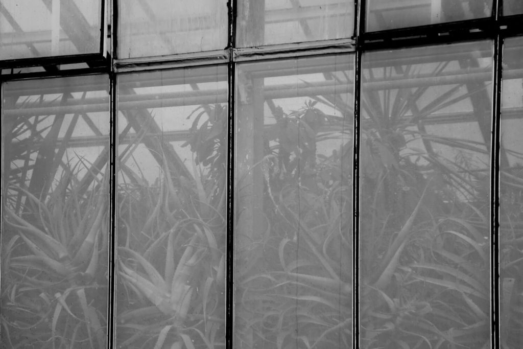 security window film installation