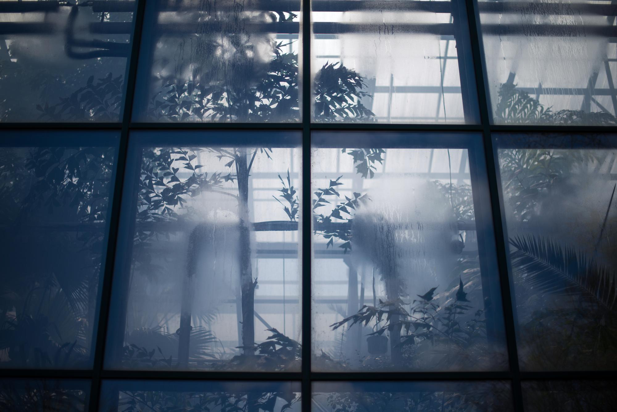 Privacy Window Film